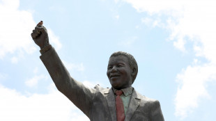 Dal Sudafrica nuovo ricorso contro la vendita negli Usa di cimeli di Mandela