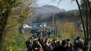 Sacrifício de rebanho bovino reacende revolta do setor agrícola na França