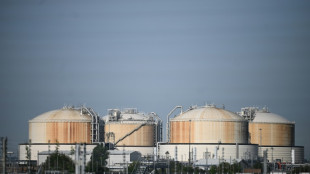 Bericht: G7-Staaten k&ouml;nnten bis 2025 mehr Gas einsparen als Russland exportiert
