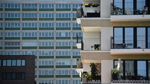 Grüne werfen Schwarz-Rot Versagen in Wohnungspolitik vor