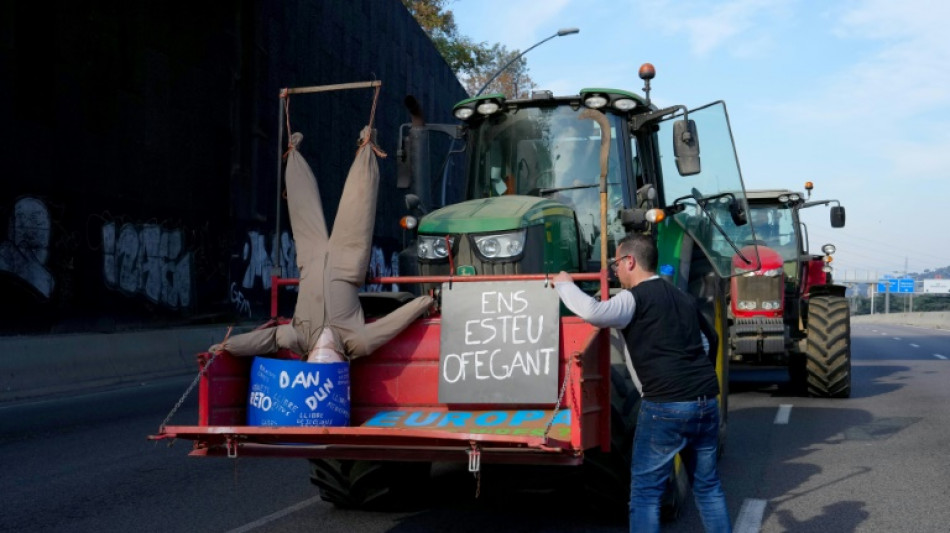 Agricultores espanh&oacute;is voltam a bloquear estradas