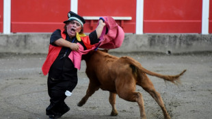 After Spanish ban, dwarf bullfighters take show to France