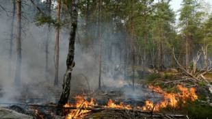La for&ecirc;t de Fontainebleau, en partie ravag&eacute;e en juillet par le feu, rouvre au public samedi