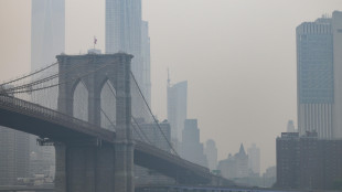 Trump accusa Canada, 'responsabile per incendi che inquinano le citt&agrave; Usa'