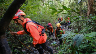 Indonesia rescuers find body from plane crash
