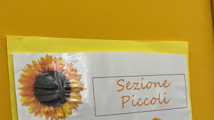 Inps, bonus asilo nido anche per i micronidi