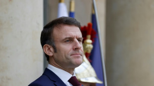 Macron re&ccedil;oit les repr&eacute;sentants du monde agricole pour solder la crise
