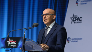 Giordano, 'l'intervento di Meloni al Cpac sar&agrave; ottimo'