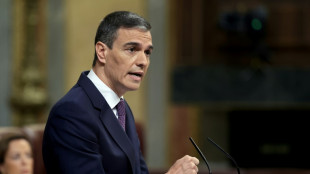 Israel fustiga el reconocimiento de Palestina como Estado por Espa&ntilde;a, Irlanda y Noruega