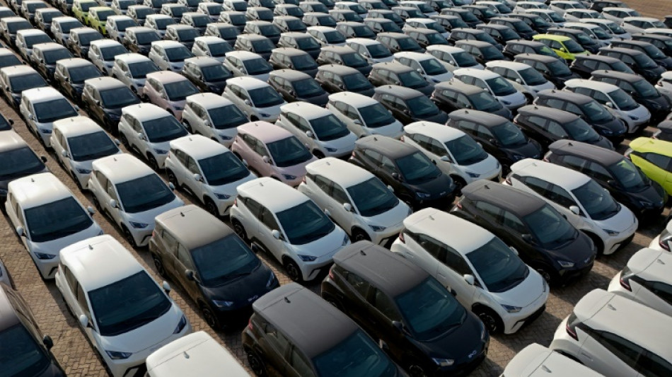 E-Autos aus China: VW und BMW zahlen erm&auml;&szlig;igte Z&ouml;lle