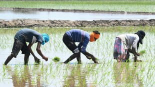 India braces for El Nino-linked dry conditions  