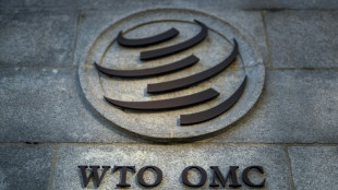US, India still at odds with majority on WTO reform