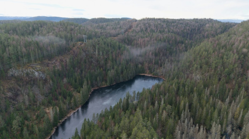 En Norv&egrave;ge, le plus grand gisement de terres rares d'Europe suspendu au sort de col&eacute;opt&egrave;res