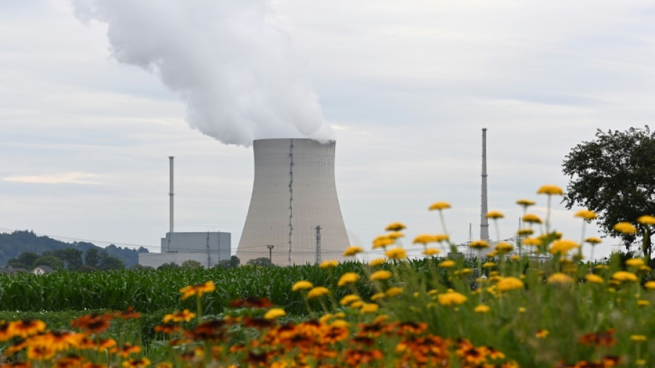 FDP fordert schnelle Bestellung neuer Atombrennst&auml;be