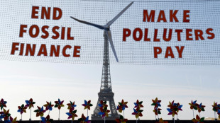 Paris climate summit hears calls for world finance 'transformation'