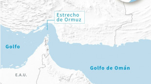Ir&aacute;n confisca un petrolero en el golfo de Om&aacute;n 