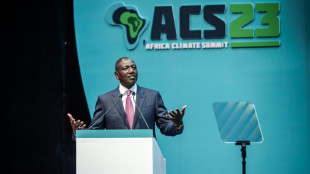 Africa seeking to tap investment on climate action