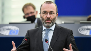 EVP-Fraktionschef Weber fordert EU-&Ouml;lembargo auch ohne Ungarn 