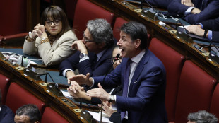 Conte, ridicolo appello all'unit&agrave; su Gaza, una vergogna storica