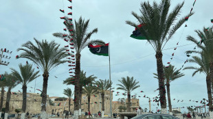 Libia, Ue preoccupata per il fratello dell'attivista Gomati