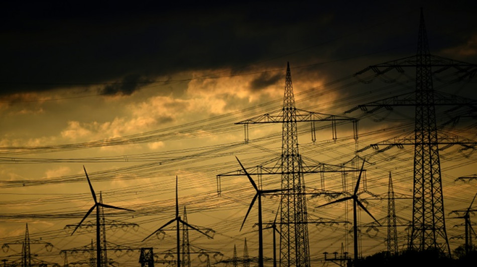 Habeck sieht Deutschland beim Klimaschutz im &ouml;konomischen Wettbewerb mit USA