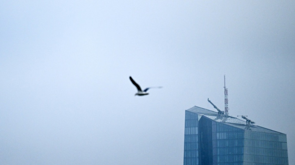 IA ainda n&atilde;o elimina empregos em massa na Europa, dizem economistas do BCE