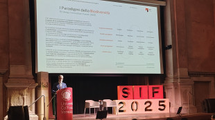 Al via lo 'Strategy Innovation Forum', focus su biodiversità