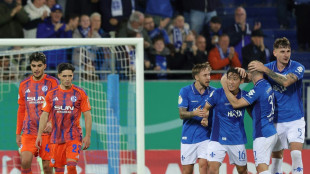 DFB-Pokal: Darmstadt wirft Schalke raus