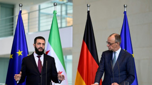 Merz: Deutschland und Syrien wollen R&uuml;ckkehr von Fl&uuml;chtlingen beschleunigen