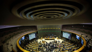 Senato brasiliano boccia legge sull' immunità dei parlamentari