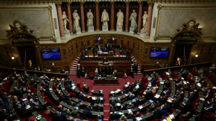 Budget: le S&eacute;nat valide la surtaxe sur les grandes entreprises et une taxe concernant CMA CGM