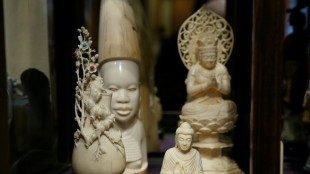 Le Japon, havre contesté du commerce de l'ivoire