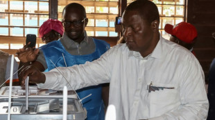 AU observers praise 'peaceful' Central African Republic polls
