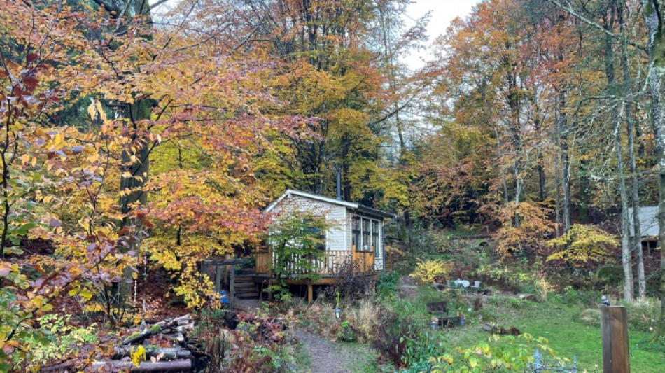 Su&eacute;cia aposta no sil&ecirc;ncio de suas florestas como ant&iacute;doto para o ru&iacute;do do mundo