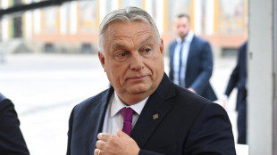Orban, 'vertice Trump-Putin grande notizia, siamo pronti'