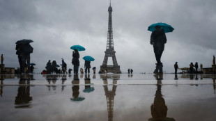Fin de la gr&egrave;ve &agrave; la tour Eiffel, rouverte ce dimanche apr&egrave;s six jours de fermeture