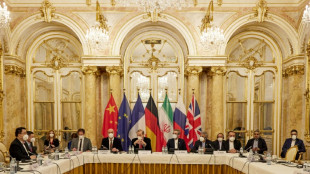 Iranischer Chefunterh&auml;ndler &auml;u&szlig;ert sich optimistisch zu Atomverhandlungen in Wien