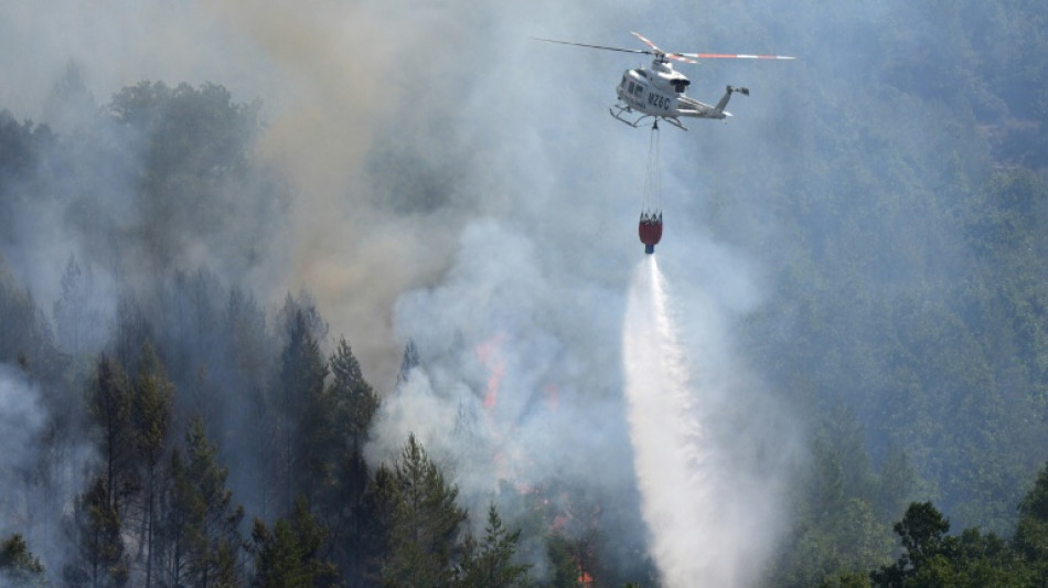 Espa&ntilde;a prepara el mayor despliegue de su historia contra los incendios forestales tras un 2025 r&eacute;cord
