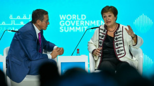 IMF, World Bank warn Gaza war, Red Sea attacks imperil global economy