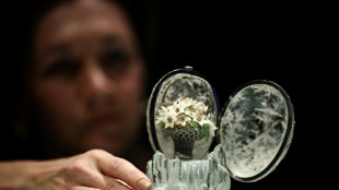 L'Œuf d'Hiver Fabergé aux enchères, record de prix attendu