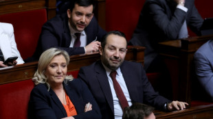Niche RN : l'Assembl&eacute;e entame le d&eacute;bat sur l'endom&eacute;triose