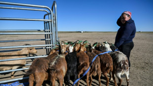 Mongolian herders enlist new tech against harsher, drier climate