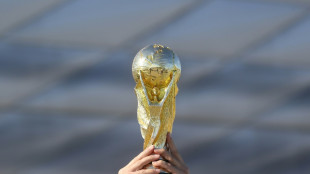 WM alle zwei Jahre: FIFA r&uuml;ckt offenbar von Pl&auml;nen ab