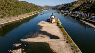 Allemagne: le gouvernement divis&eacute; sur l'inscription du climat dans la Constitution