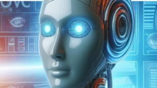 Cervello impara in modi diversi, studio apre a sviluppo dell'IA