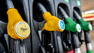 Les distributeurs autoris&eacute;s &agrave; vendre l'essence "&agrave; perte" pendant "quelques mois", annonce Borne