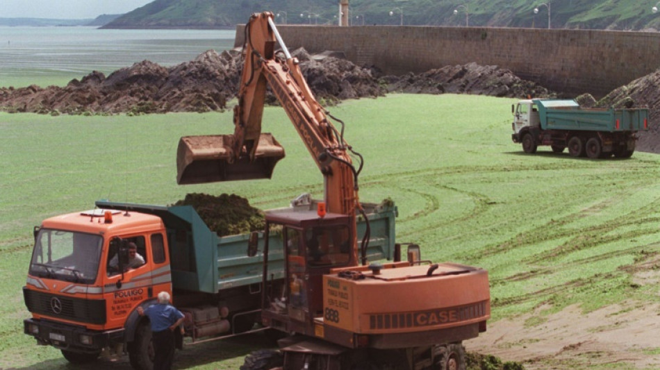 Algues vertes: triplement des capteurs d'hydrog&egrave;ne sulfur&eacute; sur les plages bretonnes