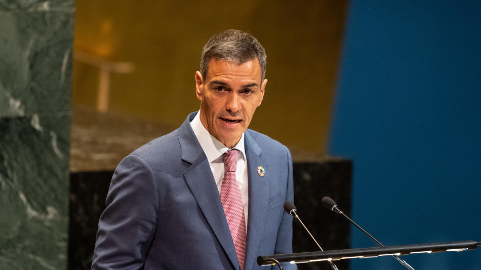 Sanchez,'una nave dalla Spagna per proteggere la Flotilla'