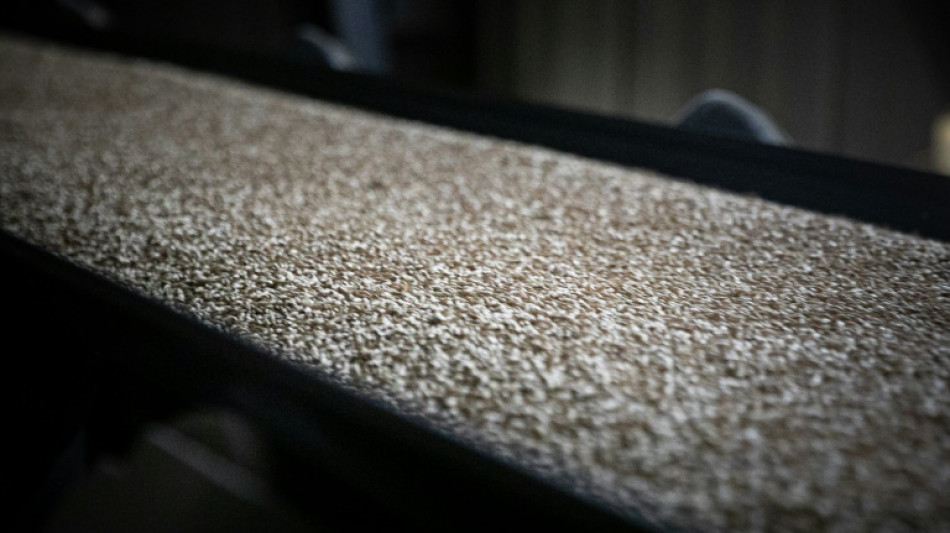 La econom&iacute;a francesa resisti&oacute; en 2022 pese a la inflaci&oacute;n