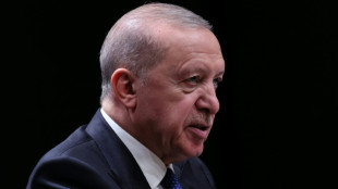 Dozens arrested in major anti-LGBTQ raids in Turkey